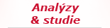 Analýzy a studie